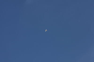 IMG 5960
